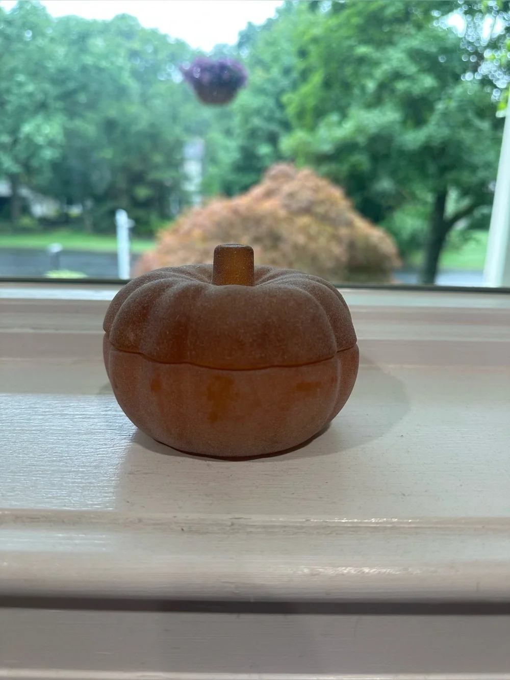 Pumpkin Candle